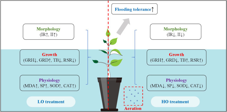 Figure 6