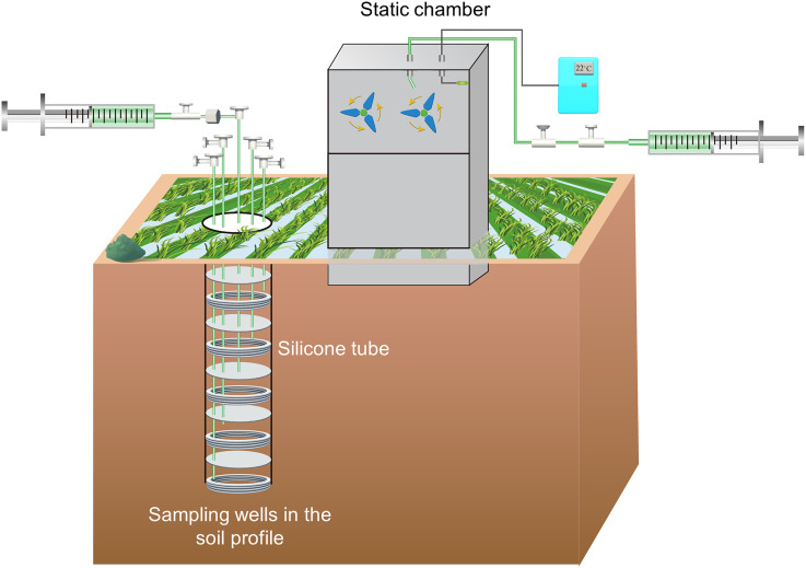 Figure 2