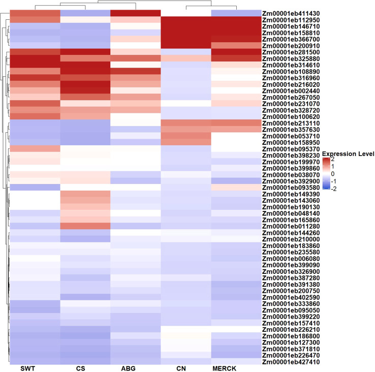 Figure 4