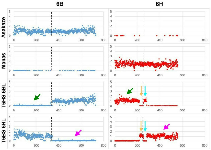 Figure 6
