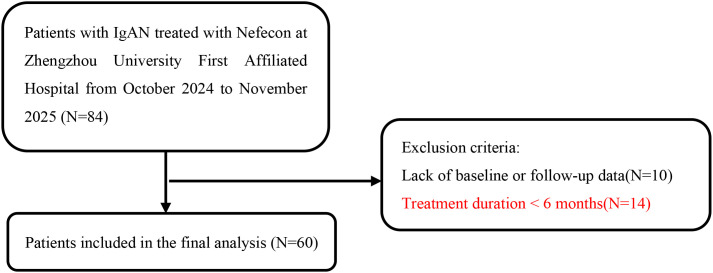 Figure 1