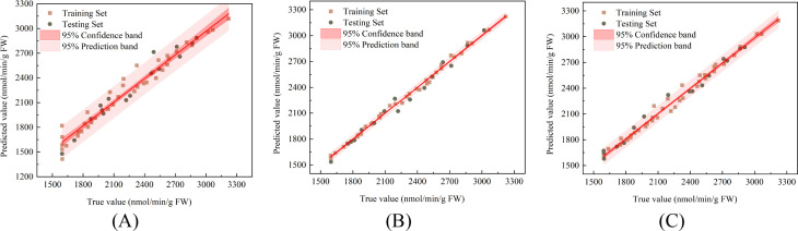 Figure 11