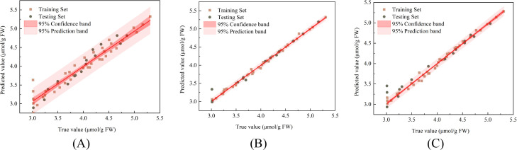 Figure 12