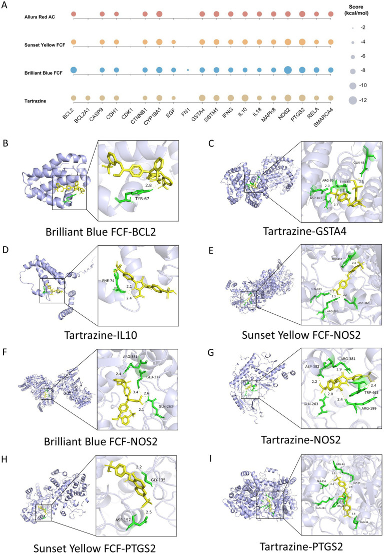 Figure 12
