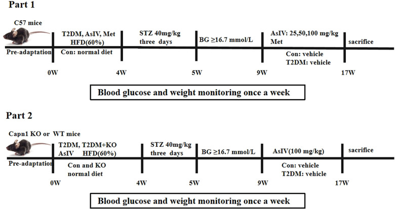 Figure 1