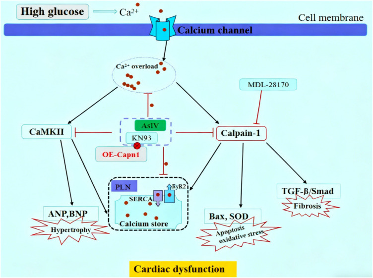 Figure 11