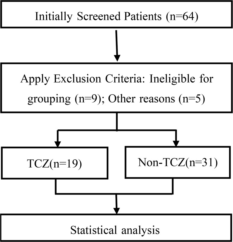 Figure 1