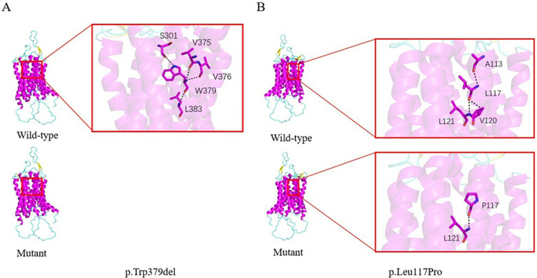 Figure 1