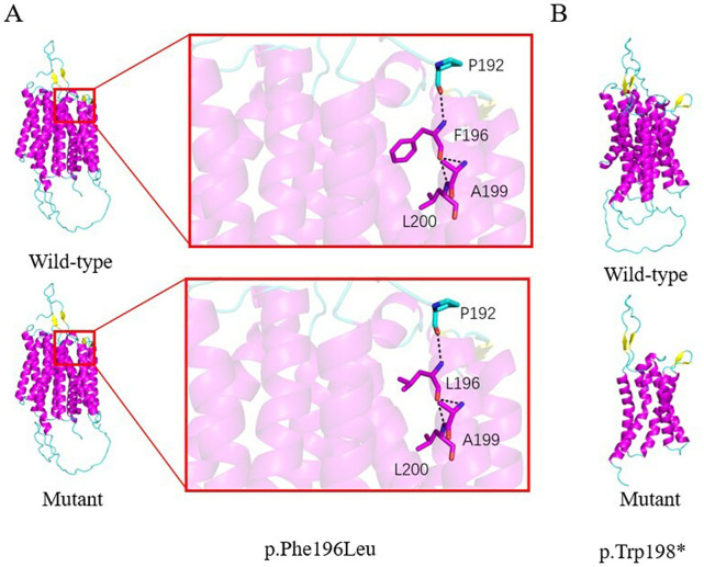 Figure 2