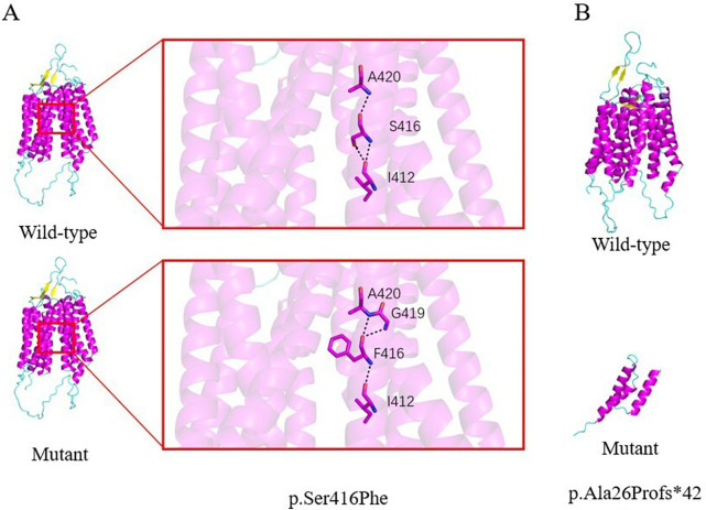 Figure 3