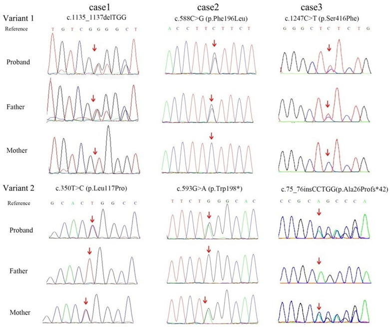 Figure 4