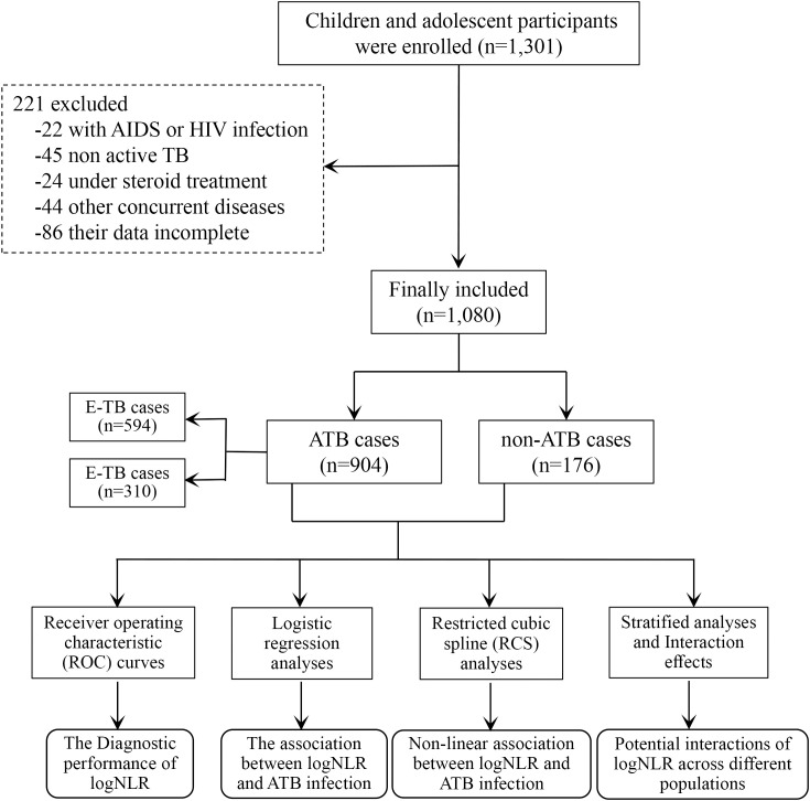 Figure 1