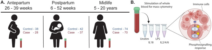 Figure 1
