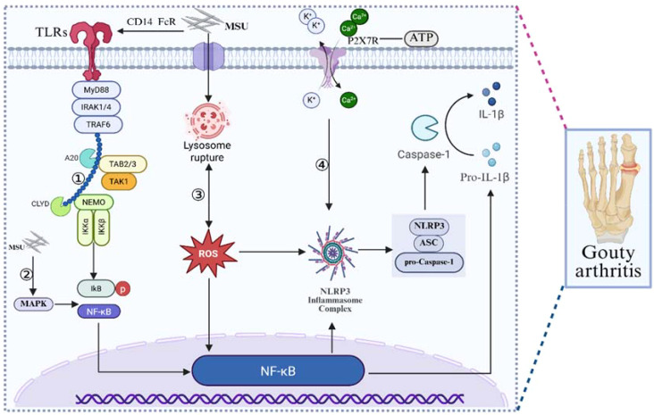 Figure 2