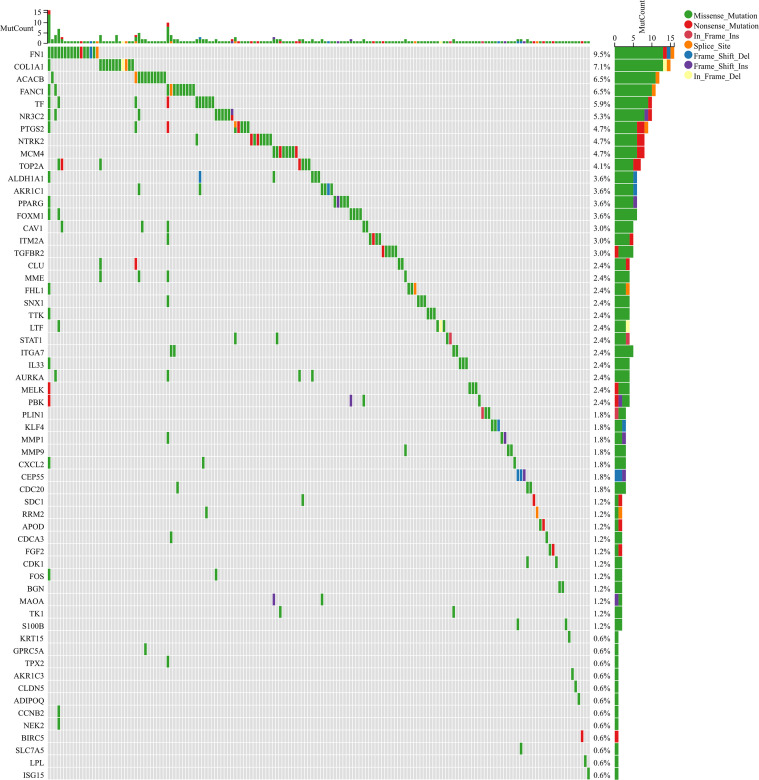 Figure 4