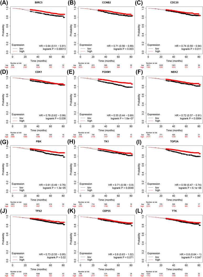Figure 5