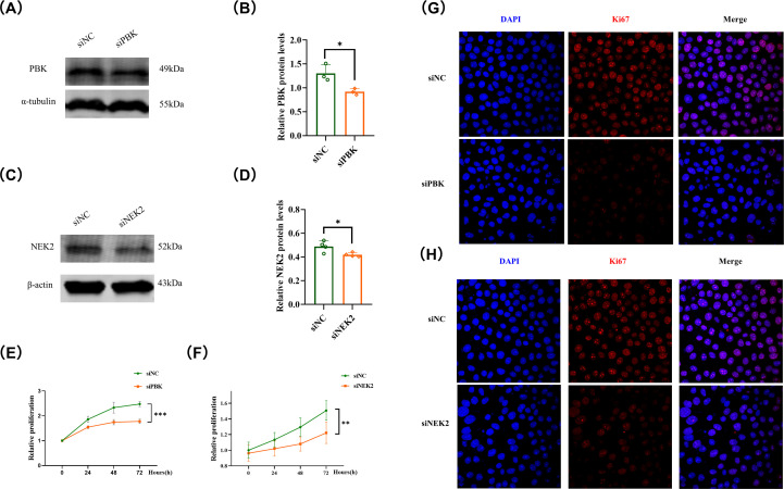 Figure 12