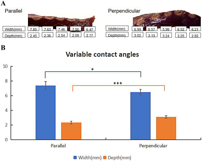 Figure 5