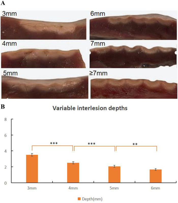 Figure 6
