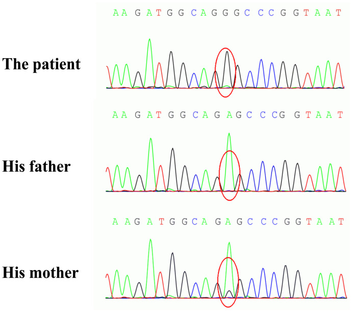 Figure 3