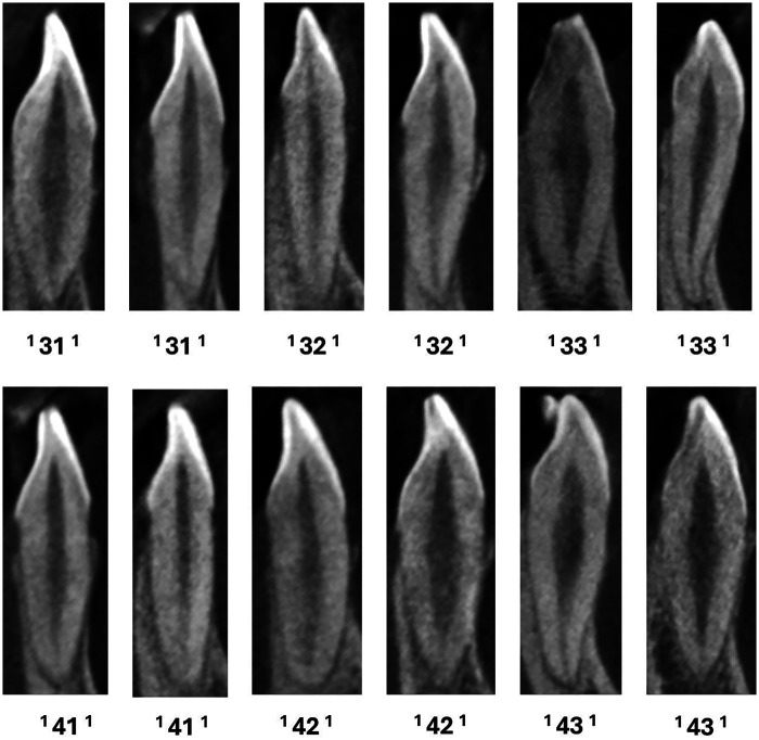 Figure 3