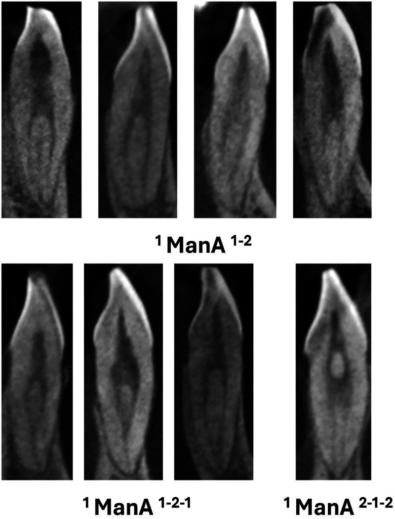 Figure 4