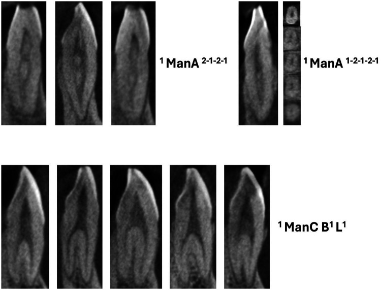 Figure 5