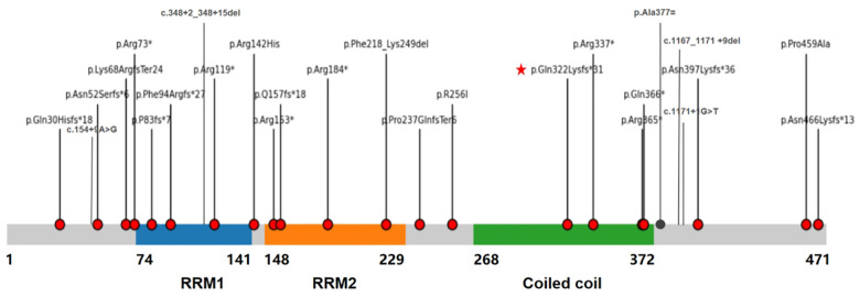 Figure 4