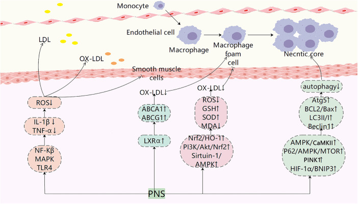 Figure 2