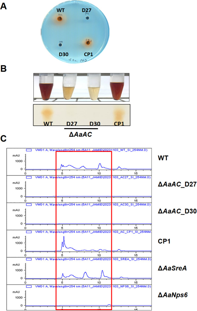 Figure 1