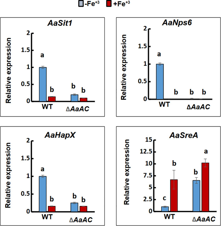 Figure 3