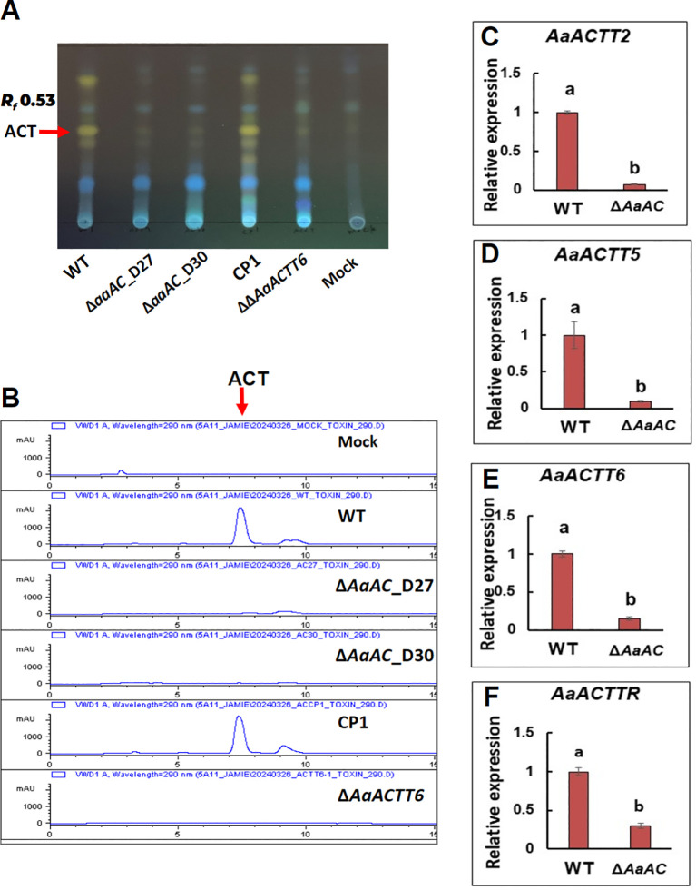 Figure 4