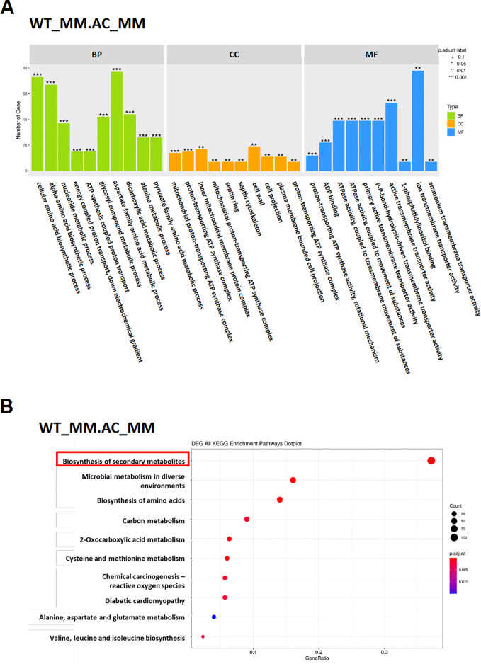 Figure 6