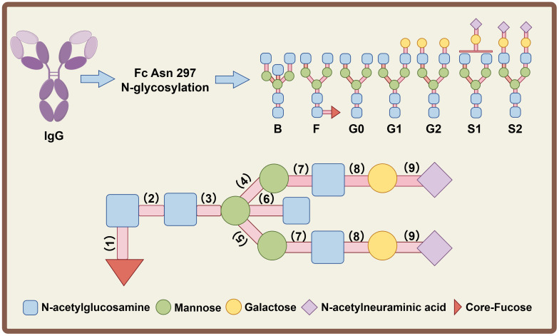 Figure 2