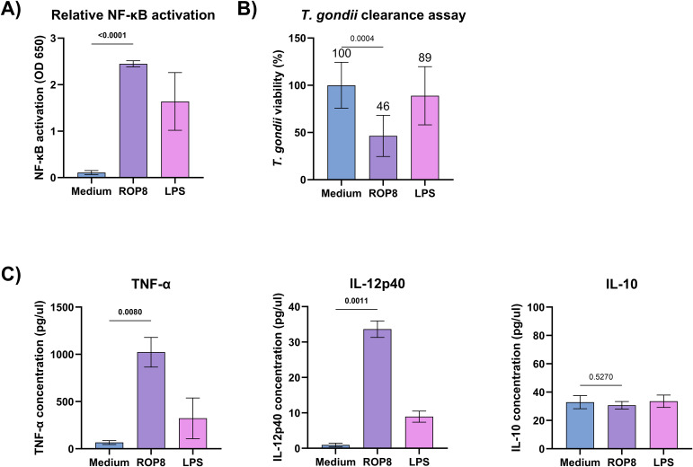 Figure 4