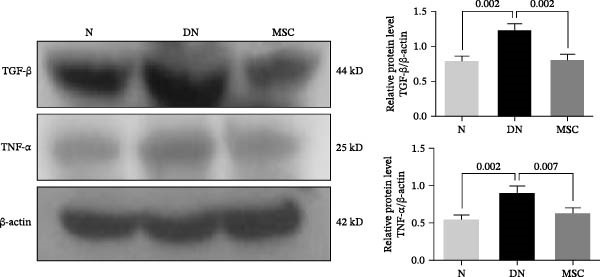 Figure 19