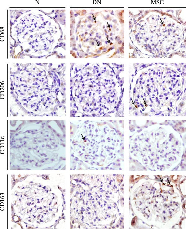 Figure 21