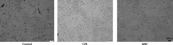 Figure 25