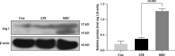 Figure 27