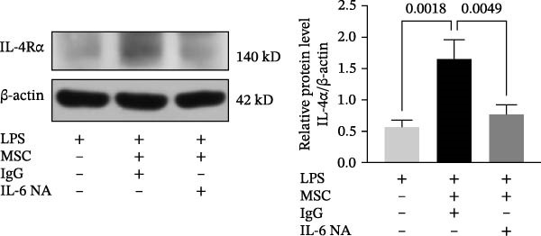 Figure 35