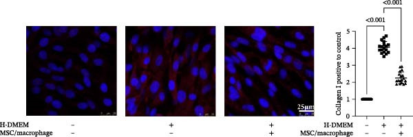 Figure 38