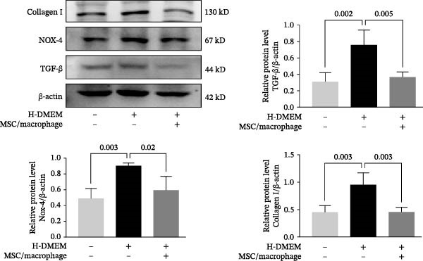 Figure 39