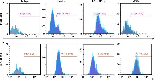 Figure 41