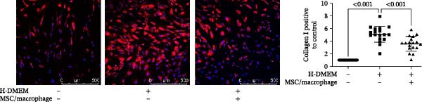 Figure 45