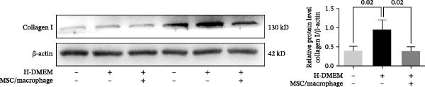 Figure 46