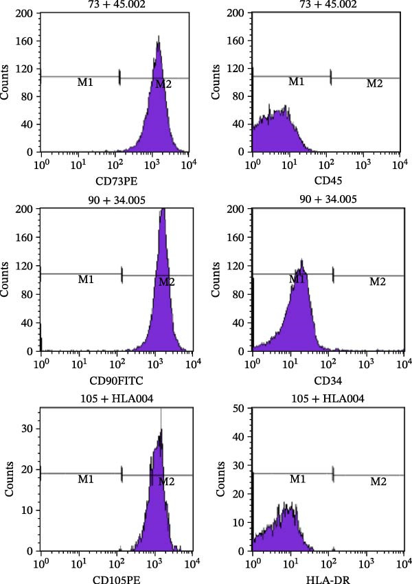 Figure 47