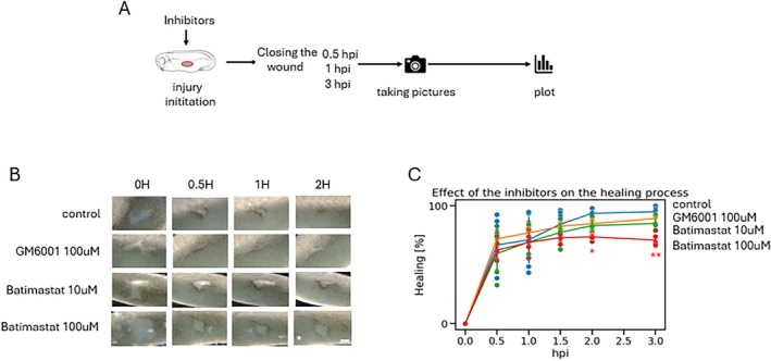 FIGURE 3