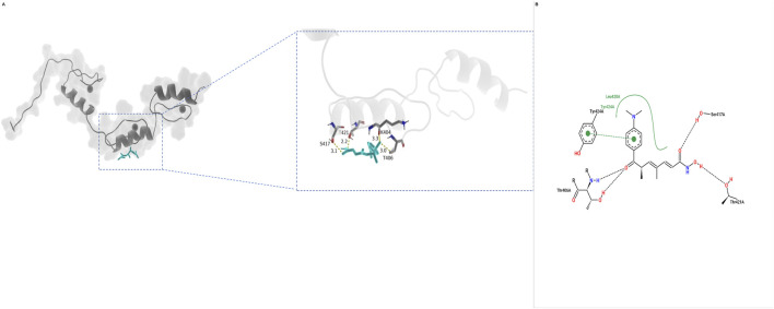 FIGURE 9