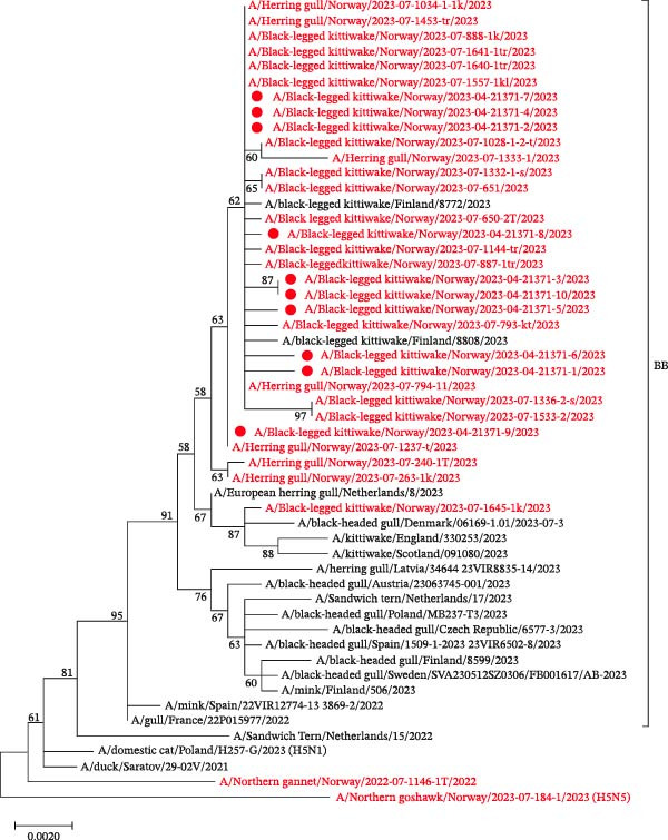 Figure 6