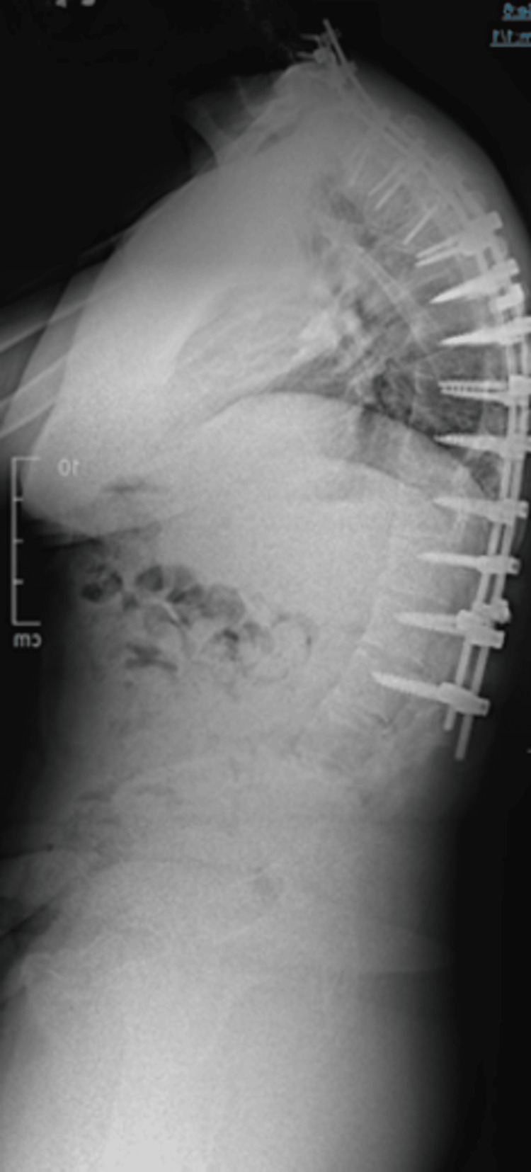 Figure 7